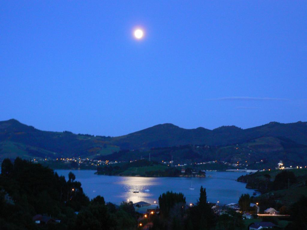Treetops B&B Portobello Dış mekan fotoğraf